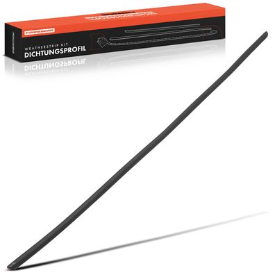 Frankberg 1x Windschutzscheiben Dichtung Vorne für BMW 5er Touring E60 E61 2004-2012