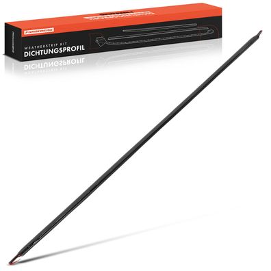 Frankberg 1x Windschutzscheiben Dichtung Vorne für BMW X3 E83 2.0L 3.0L 2003-2011