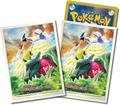 Pokemon Karten Héllen Premium 64x Regidrago Lugia Sleeves TCG