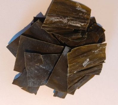 Algae-Chips Aufwuchsfresser & Wochenendfutter für Wirbellose