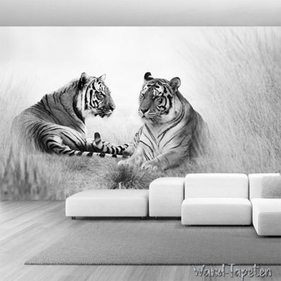 Vlies Fototapete Wandtapete Wandbilder Schwarz Weiße Tiger 2282