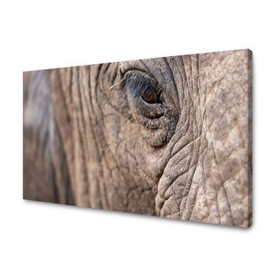 CANVAS Leinwandbilder Bilder XXL Wandbilder Kunstdruck Tiere - Elefantenauge