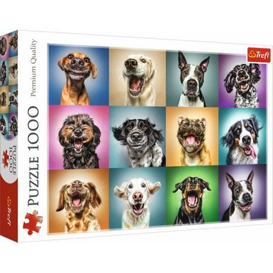 Premium Puzzle 1000 Teile Hunde Porträt