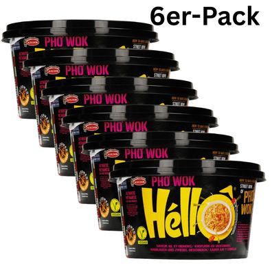 6er-Pack Acecook Pho Wok Hello Instant Reisnudeln Zwiebel & Knoblauch Cup 76g