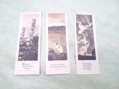 3 alte Foto Lesezeichen Verse von Augustinus Ambrosius Brentano Lupinen Schwan Wolken