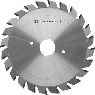 Ritz-Kreissägeblatt HW/ HM 100x2,8-3,6x 22 Z=2x10 für Holz-Her