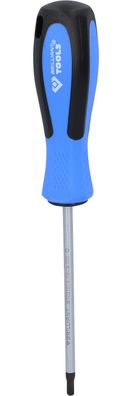 Brilliant Tools Schraubendreher TORX, T20 x 100 mm