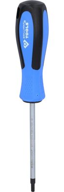 Brilliant Tools Schraubendreher TORX, T25 x 100 mm