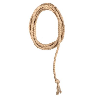 Western Lasso Boland
