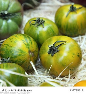 Tomate Green Zebra ertragreiche süsse Früchte 10 Samen