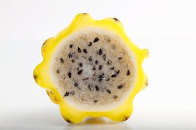 Pitahaya Drachenfrucht gelb Hylocereus megalanthus 5 Samen