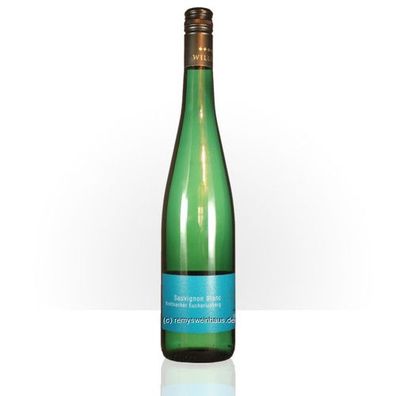 Weingut Willems 2024 Sauvignon Blanc Krettnacher Euchariusberg 0.75 Liter