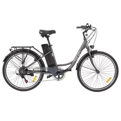 E-Bike HECHT RUNNIS SHADOW – 250 Watt, 36 Volt, 85 km Reichweite
