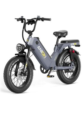 AQ177 Pro Max Elektrofahrrad mit 48V60Ah Akku