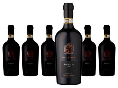6 x MGM Villa Pani Barolo – 2020