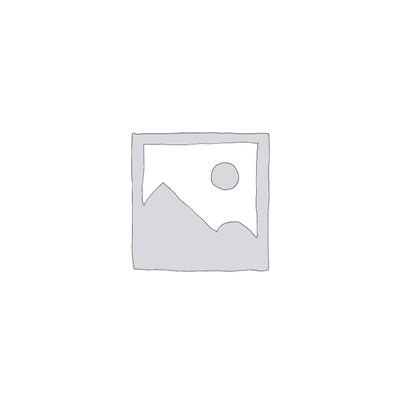 MONTI Pallidi Veneto Pinot Grigio 2024 0.75 L Flasche