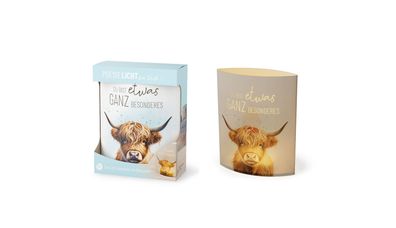 LED-Dekolicht LaVida Poesielicht für Dich 16 x 13 x 5 cm Du bist etwas ganz besondere