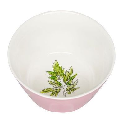 Salatschale Müsslischale Schüssel Alice 14 cm rosa Ambition