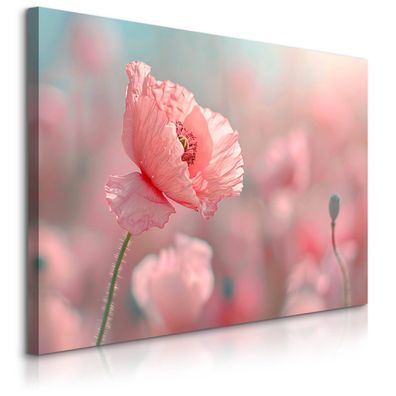 Muralo Leinwandbild Canvas Mohnblumen Feldpflanzen Natur 3D