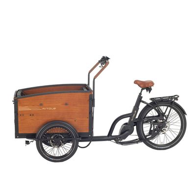 Aitour Lastenrad, enviolo,250W Mittelmotor,48 V 13,4 Ah akku
