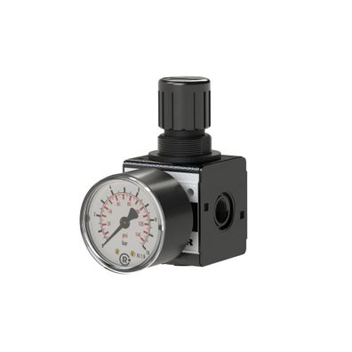 Riegler 100421 Druckregler Multifix Gewinde mm 15,39 BG I G 3/8 '' 0,5 - 10 bar