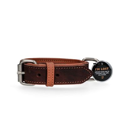 Spotted! Pro Lederhalsband Braun 2,5x45cm