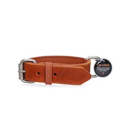 Spotted! Pro Lederhalsband Cognac 3x60cm