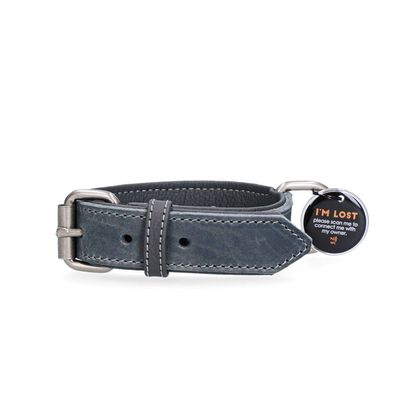 Spotted! Pro Lederhalsband Grau 2,5x50cm