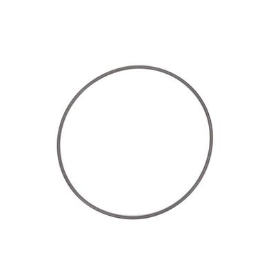 O-Ring - Vgl. Nr. Delphi / CAV 9007 / 497 L