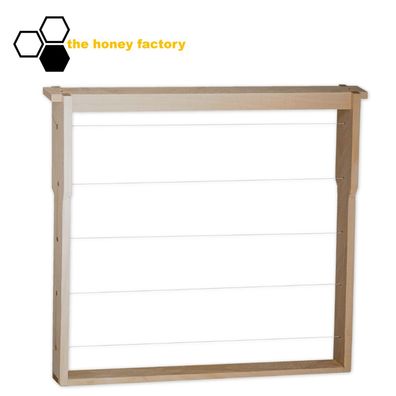 20x Rähmchen Deutsch Normalmaß DNM 1,5 Maxizarge Modifiziert Hoffmann Seite 5-fach ge