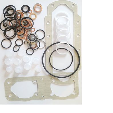 Dichtsatz EP/RSV MW Regler Vgl. Nr. Delphi/CAV 7135-421 Ambac DGK212 AMK212