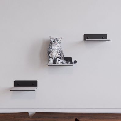 QLS Katzenregal 20x20 cm Wandregal Katze Kletterwand Schwarz mit Filz 11445