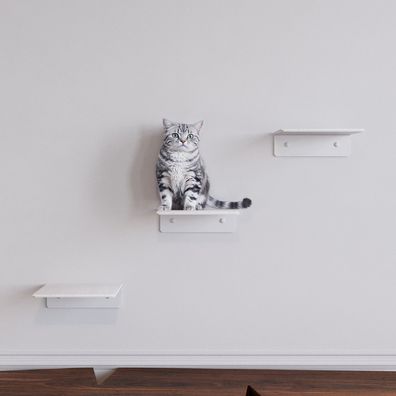 QLS Katzenregal 20x20 cm Wandregal Katze Kletterwand Weiß mit Filz 11446