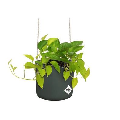 Elho Blumentopf Schaukel 18 cm Blattgrün Hängepflanztopf