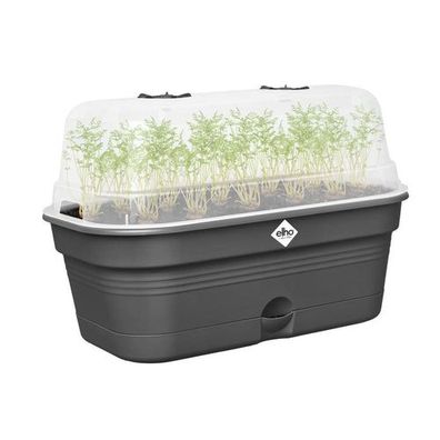 Elho – Green Basics – Anzuchtschale All-in-1 – Größe M – Living Black Schwarz ca.32mm