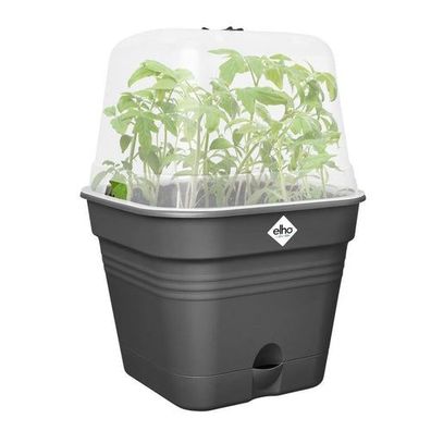 Elho Green Basics Anzucht Topf quadratisch 20 cm Living