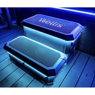 Wellis Smart-In-Step Whirlpooltreppe Einstiegstreppe für Whirlpools inkl. LED Beleuc
