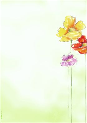 Sigel Motiv-Papier A4 90g DP123