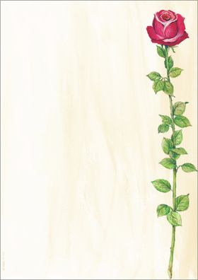 Sigel Designpapier A4 90g Rose Bloom 25Bl DP695