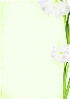 Sigel Motiv-Papier A4 90g DP463