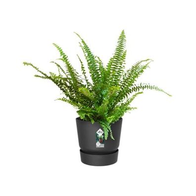 elho Greenville Easy Hanger 19.5 - Blumentopf für Balkon - 100% recyceltem Plastik