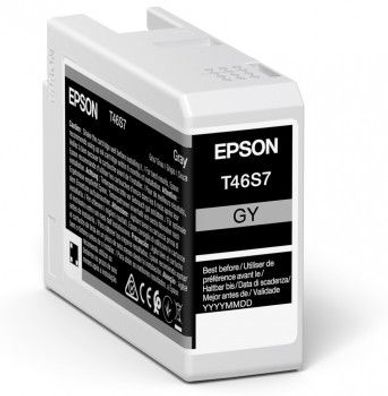 Epson Tintenpatrone T46S7 Grau (25ml)