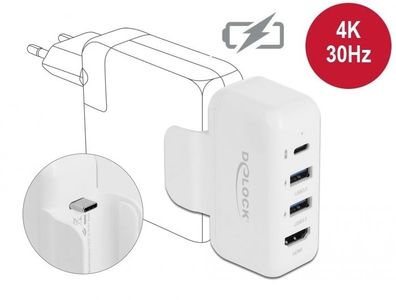 Delock Adapter für Apple Netzteil mit PD und HDMI 4K