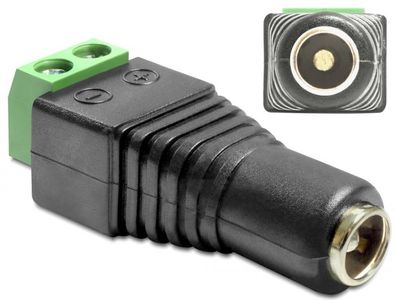 Delock Adapter Terminalblock > DC 2,5 x 5,5 mm Buchse