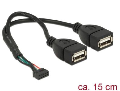 Delock Kabel USB 2.0 Pfostenbuchse 2,00 mm 10 Pin > 2 x USB