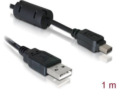 Delock Kamera Kabel Olympus 12-Pin USB 1m
