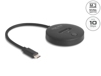 Delock M.2 Dockingstation für M.2 NVMe / SATA SSD
