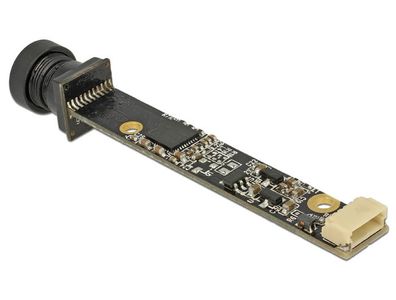 Delock USB 2.0 Kameramodul 5,04 MP Optik seitlich 55° V5