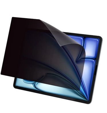 Dicota Privacy Filter 2-way adhesive Apple iPad Air (M2) 13 landscape