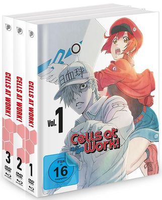 Cells at Work! - Gesamtausgabe - Bundle Vol.1-3 - DVD + Blu-Ray - NEU